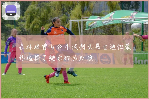 森林狼曾与公牛谈判交易吉迪但最终选择了鲍尔作为新援